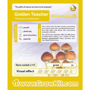 Golden Teacher Growkit - 1200 cc