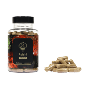 Reishi extract capsules – 120 stuks