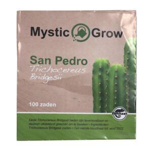 San Pedro T bridgesii zaden – 100 stuks