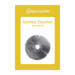 Golden Teacher Sporeprint