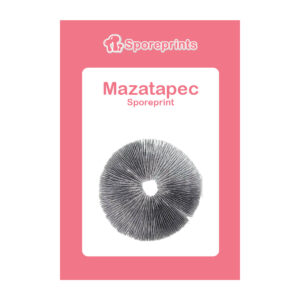 Mazatapec Sporeprint